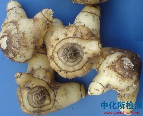 白芨檢測