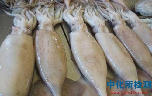 魷魚檢測(cè)