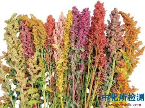 藜麥檢測(cè)