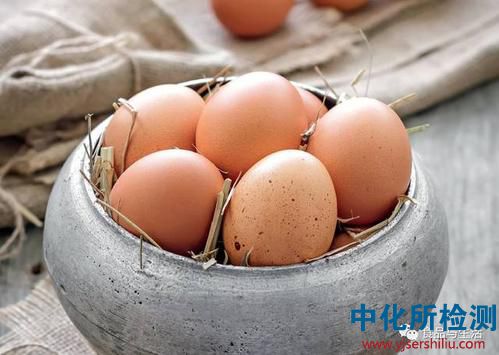 沙門氏菌檢測