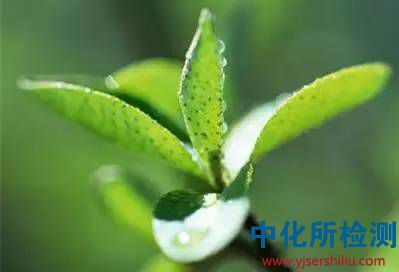 赤霉素檢測(cè)