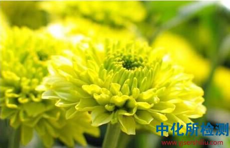 菊粉檢測(cè)