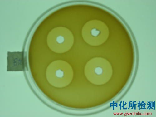 抑菌效力檢測(cè)