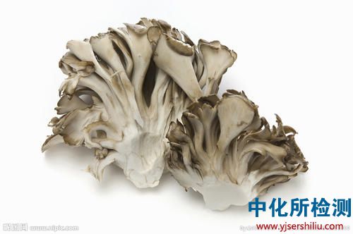灰樹花檢測